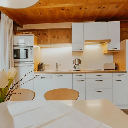 Zudrellhus Apartment Silbertal